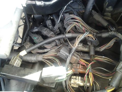 1991 Ford Bronco - A complex web of electrical wiring and connectors is visible in this close-up view of a vehicle's engine compartment.