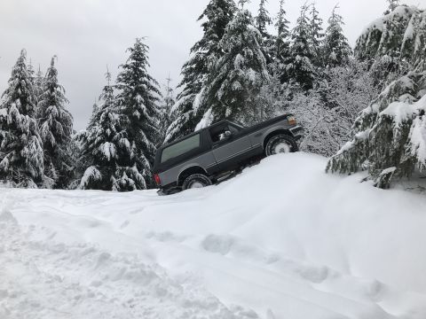 1995 Ford Bronco - Found a parking spot