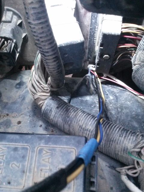 1996 Ford Bronco - A close-up view of a vehicle's engine bay shows a bundle of wires emerging from a corrugated conduit, with a blue wire nut connecting two w…