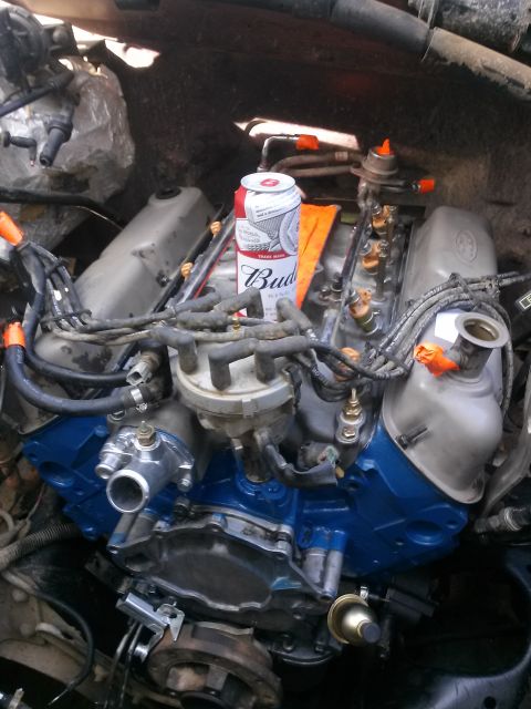 1996 Ford Bronco - A close-up view of a V8 engine with a can of Budweiser beer resting on top. The engine block is painted blue, and various hoses and compone…