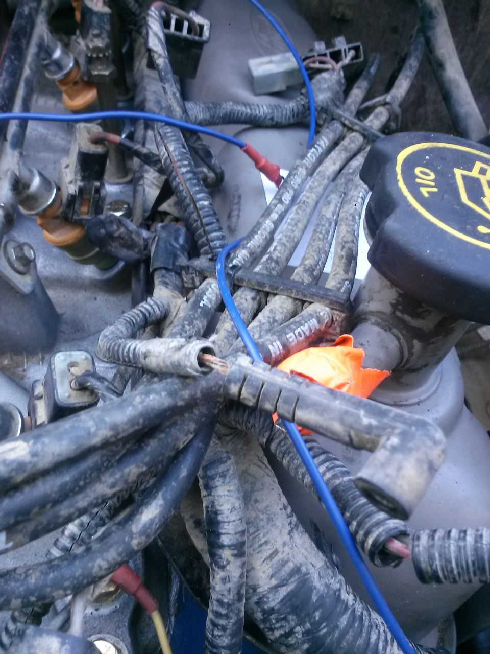 Engine wiring harnesses and fuel injectors with a blue wire, dirty engine bay