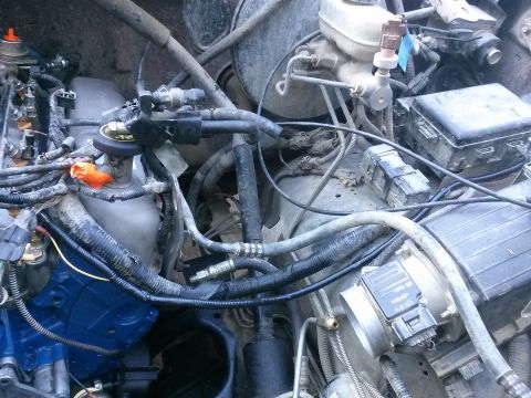 1996 Ford Bronco - A close-up view of a vehicle's engine bay, showing various hoses, wiring harnesses, and engine components. A blue painted engine part is vi…