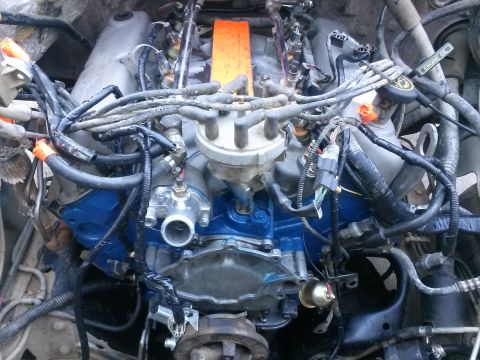 1996 Ford Bronco - A close-up view of a V8 engine with blue painted valve covers and various hoses and wiring. An orange marker is visible on top of the engin…