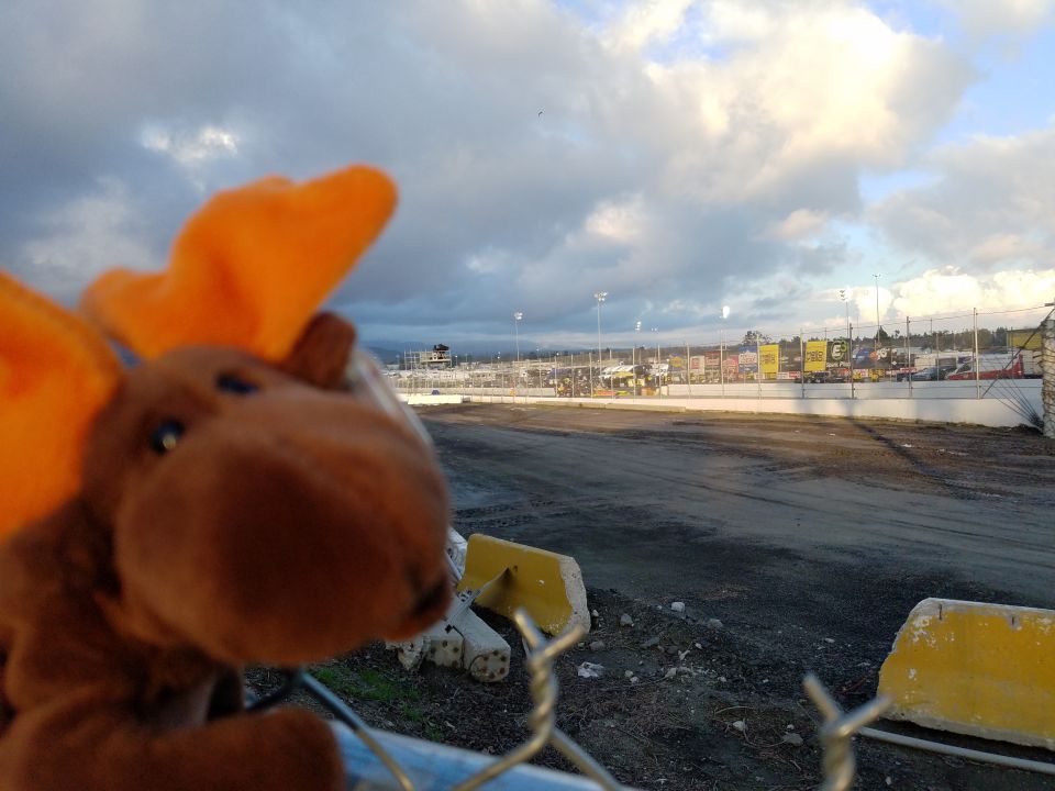 Stuffed moose toy in front of a dirt race track and grandstands.