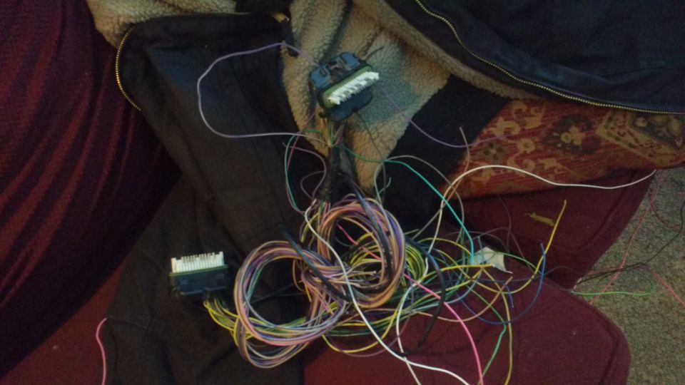 Tangled wires and electrical connectors on a jacket