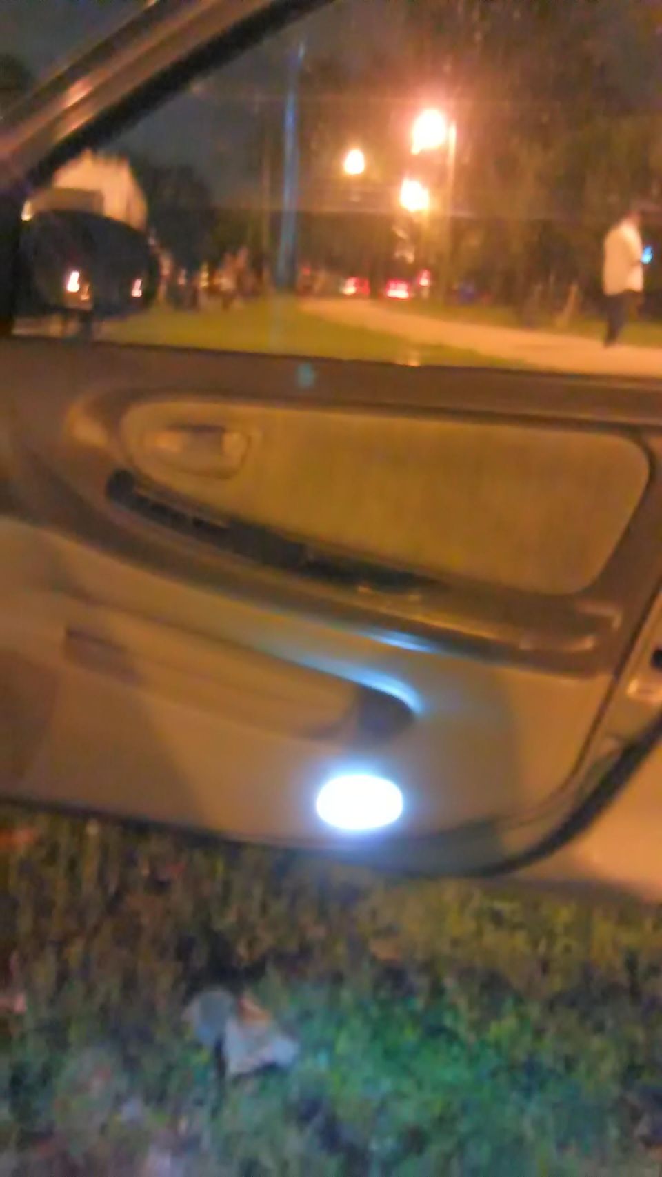 Car door interior with illuminated light, night scene outside.
