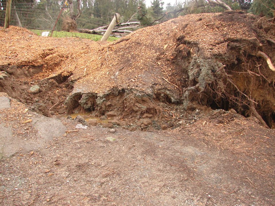 Erosion damage revealing tree roots and muddy water on a damaged pathway.