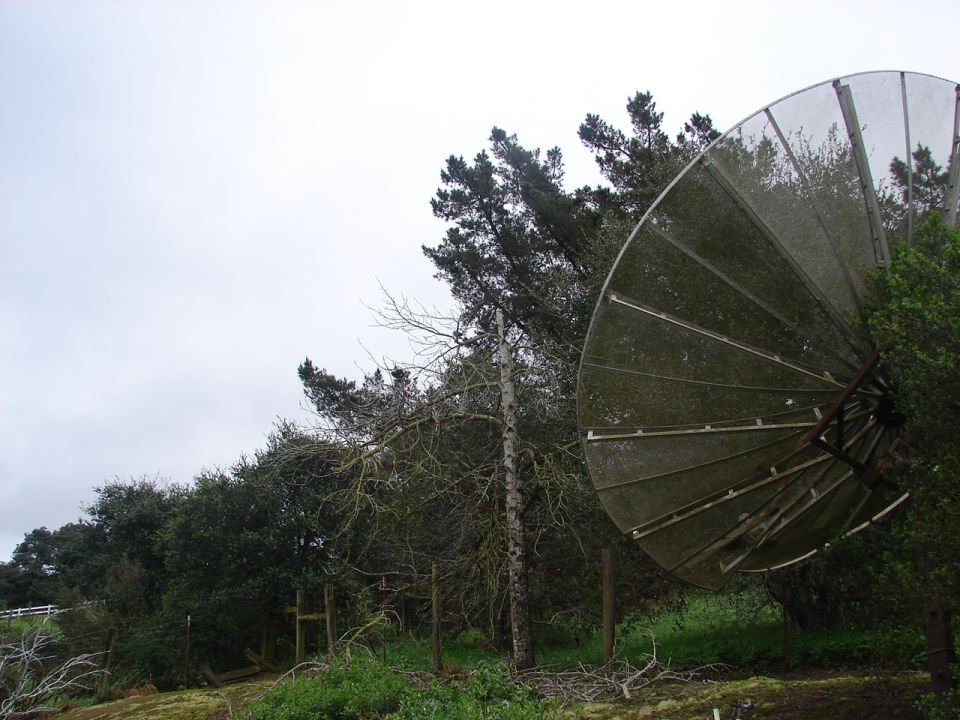 Weathered satellite dish in a wooded area