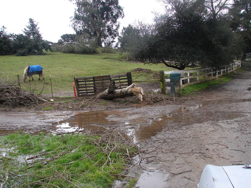 Muddy rural scene with a horse, fallen tree, and wooden fence.