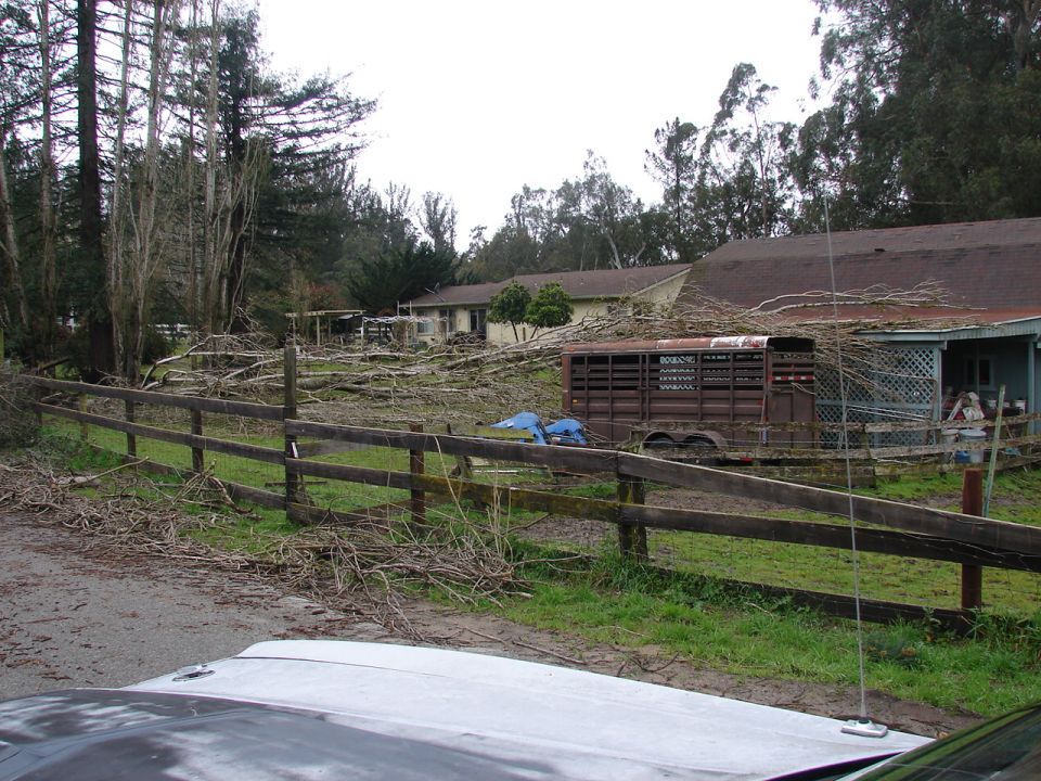 Front of a silver vehicle in foreground, rural scene with fence, branches, horse trailer, and house.