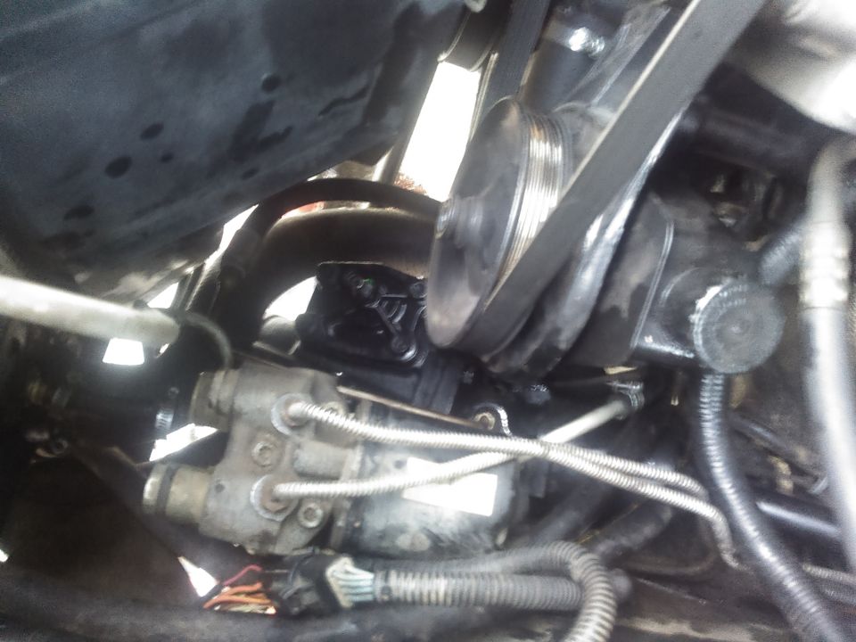 Vehicle engine bay showing power steering pump, hoses, and belts.