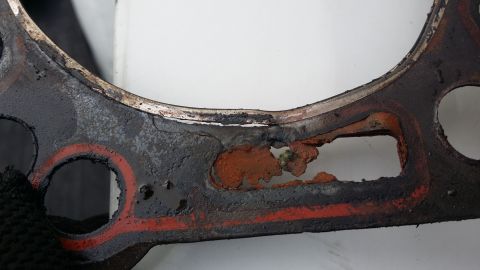 1996 Ford F-250 - Well, good thing I did pull the head. Ran fine...surprising well, actually. This explains a few things.
