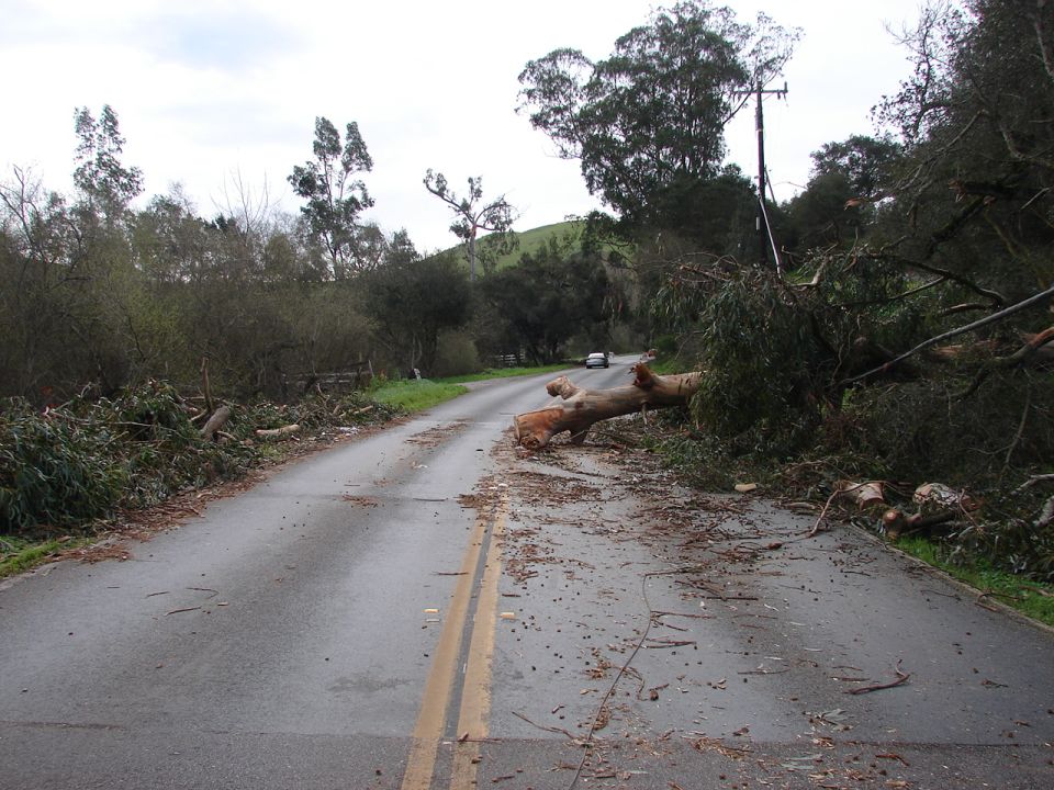 Fallen trees blocking a rural road with a car in the distance.