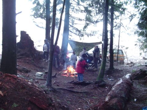 1993 Ford Bronco - A group of people are camping in a forest clearing with a van parked nearby.