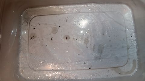 1995 Ford Bronco - To remove the piston seal, I used a syringe with some mineral oil in it to force the piston seal out using hydraulic pressure. Despite the…