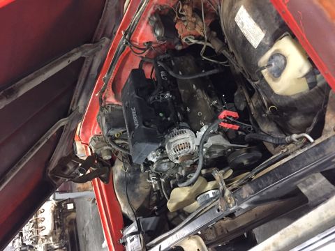 1984 Ford Bronco - The engine bay of a red vehicle is shown with the hood open. The V8 engine, alternator, and various hoses and components are visible.