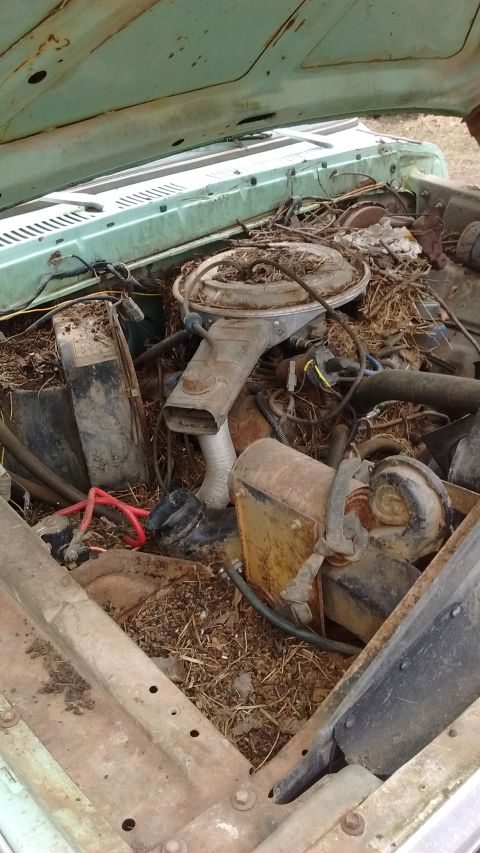 1978 Ford F-150 - Pack rat made its home here.