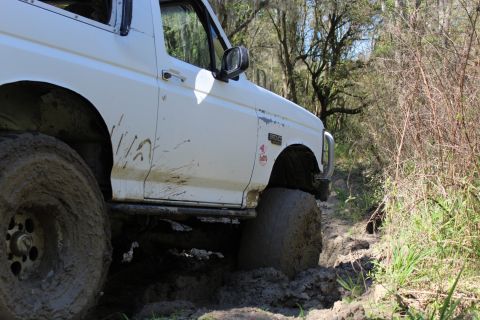 1992 Ford Bronco