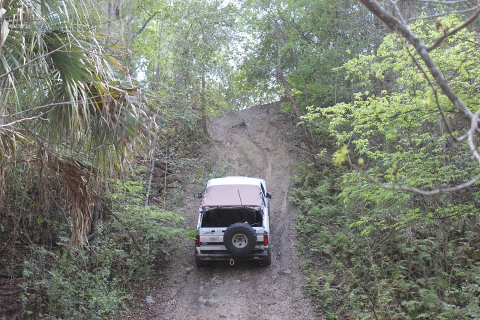 White Ford Bronco driving up a steep dirt trail in a wooded area.