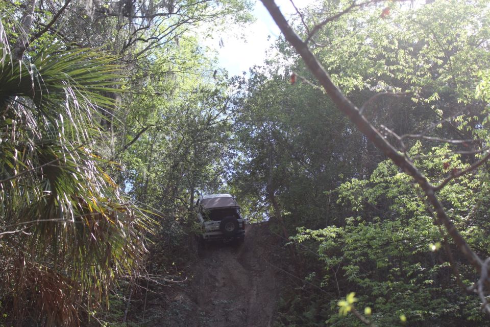 1992 Ford Bronco climbing a steep dirt hill in a wooded area.