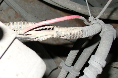 1992 Ford Bronco - Mystery box's wire bundle turns into just the one red wire which then splices into the rear diff's white wire.