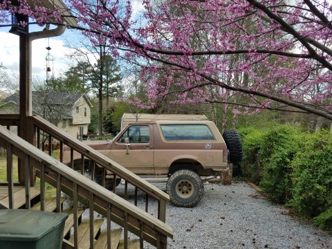 1988 Ford Bronco photo