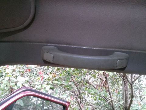 1996 Ford Bronco - Interior view of a grab handle mounted on the headliner of a vehicle, with trees and foliage visible through the window.