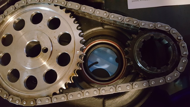 Engine timing chain and sprockets