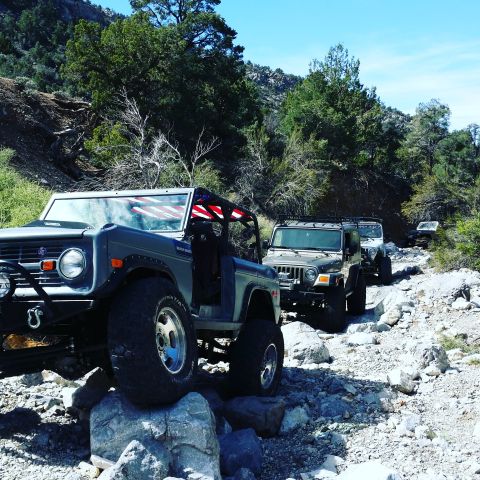 1979 Ford Bronco