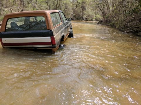 1991 Ford Bronco photo