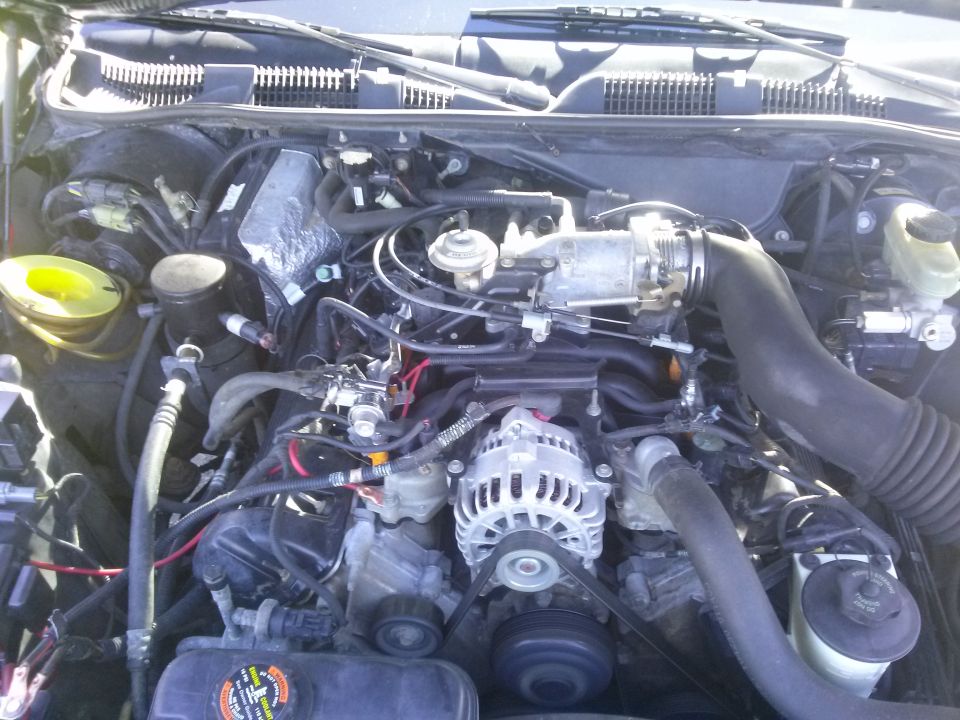 Ford Crown Victoria engine bay with V8 engine, alternator, and hoses.