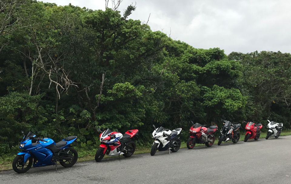 Line of sport motorcycles parked on a road with a forest backdrop.