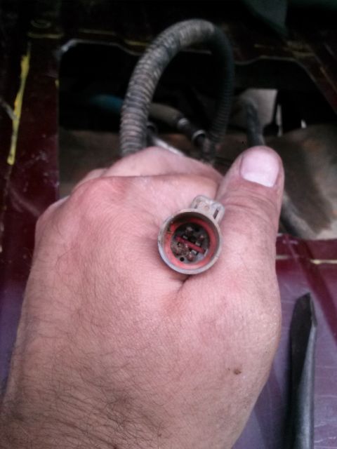 1996 Ford Bronco - Wiring harness connector being held, likely for a vehicle repair or diagnostic.