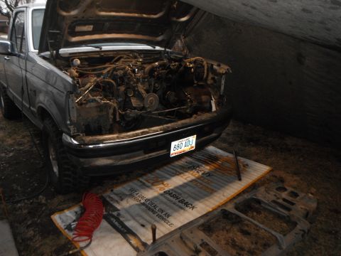 1995 Ford F-150 - The engine bay of a truck is visible with the hood up, parked outdoors.