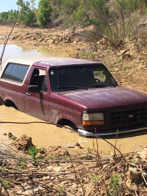 1996 Ford Bronco - This 1996 Ford Bronco is stuck deep in the mud, with only the top half visible.