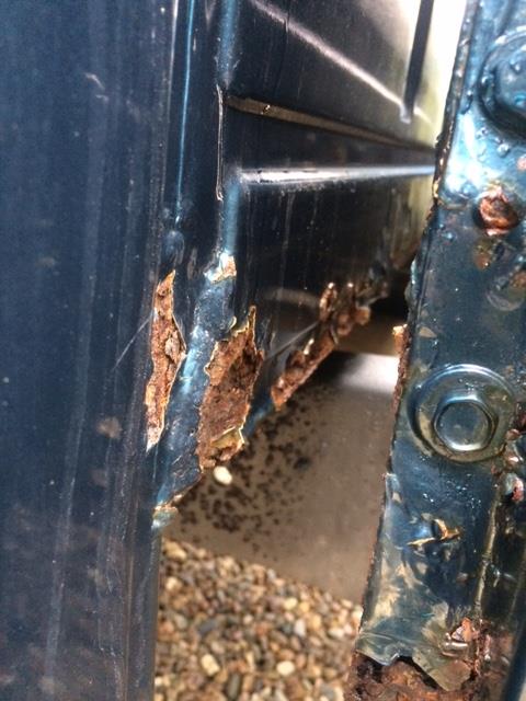 1979 Ford F-150 - Significant rust damage is visible on the lower door frame and rocker panel of this vehicle.
