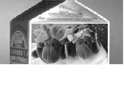1990 Ford Bronco - Two stuffed moose toys are visible inside a carton, which also contains some text.