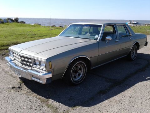 1985 Chevrolet Impala - This 1985 Chevrolet Impala sedan is seen parked near a body of water on a sunny day.