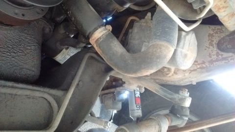 1996 Ford F-350 - Underside view of engine bay hoses and suspension components, including a shock absorber.