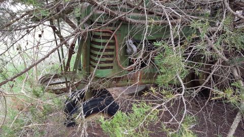 1973 Ford F-100 - An old green tractor sits abandoned and overgrown with vegetation, its grille partially visible.