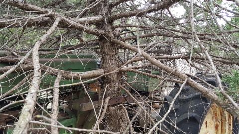 1973 Ford F-100 - A green tractor is heavily overgrown with branches, making its identification difficult. A SuperMotors watermark is visible in the lower ri…