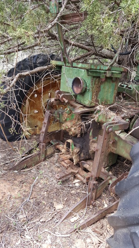 1973 Ford F-100 - An old, green tractor sits abandoned and overgrown in brush.