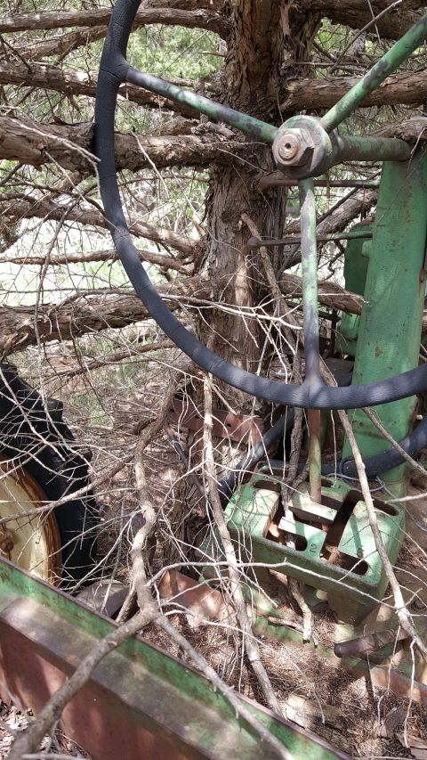 1973 Ford F-100 - The interior of a tractor, obscured by tree branches and foliage, shows a steering wheel and gear shift mechanism.