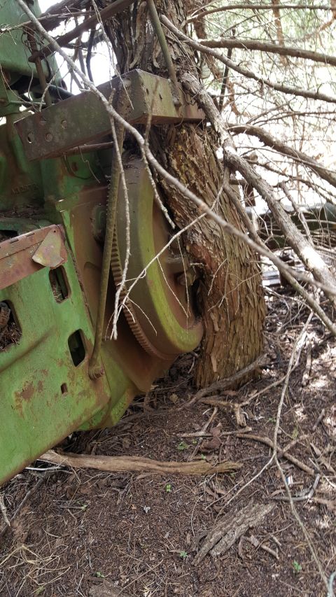 1973 Ford F-100 - A piece of green machinery is overgrown by a tree, suggesting long-term abandonment in a natural setting.