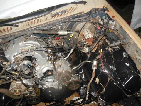 1984 Ford Bronco - The engine bay shows a V8 engine with various components and wiring, suggesting recent work or a new installation.