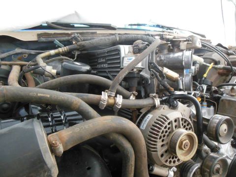 1984 Ford Bronco - Close-up view of an engine bay, showing various hoses, the alternator, and other engine components.