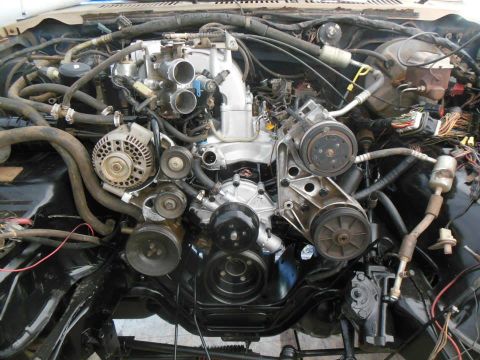 1984 Ford Bronco - hardly fits now!.