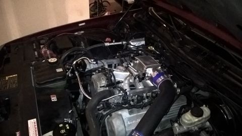 2004 Ford Crown Victoria - Now she needs a bath.