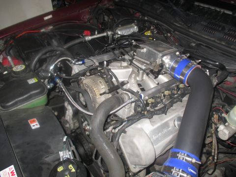 2004 Ford Crown Victoria - Engine bay of a 2004 Ford Crown Victoria showing aftermarket intake and intercooler modifications.