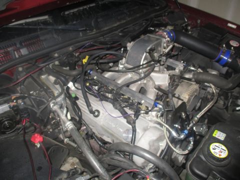 2004 Ford Crown Victoria - Close-up of a modified V8 engine bay, showing custom intake and fuel system components.